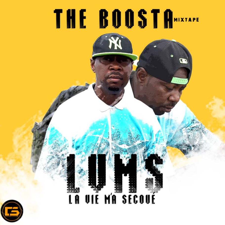 Cover LVMS (la vie m'a secoué)