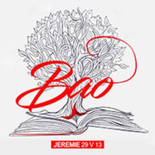 Cover JEREMIE 29 V 13