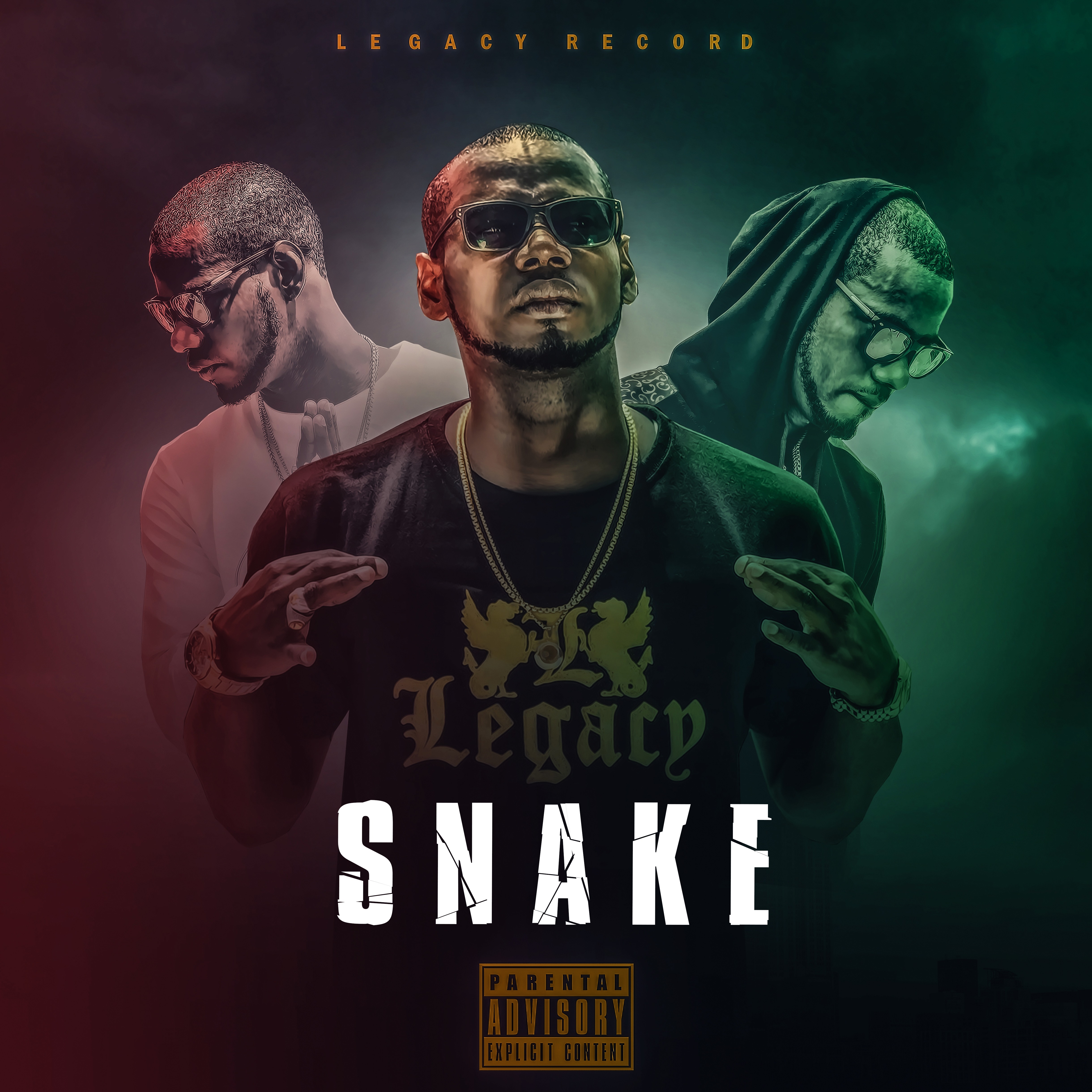 Cover Snake